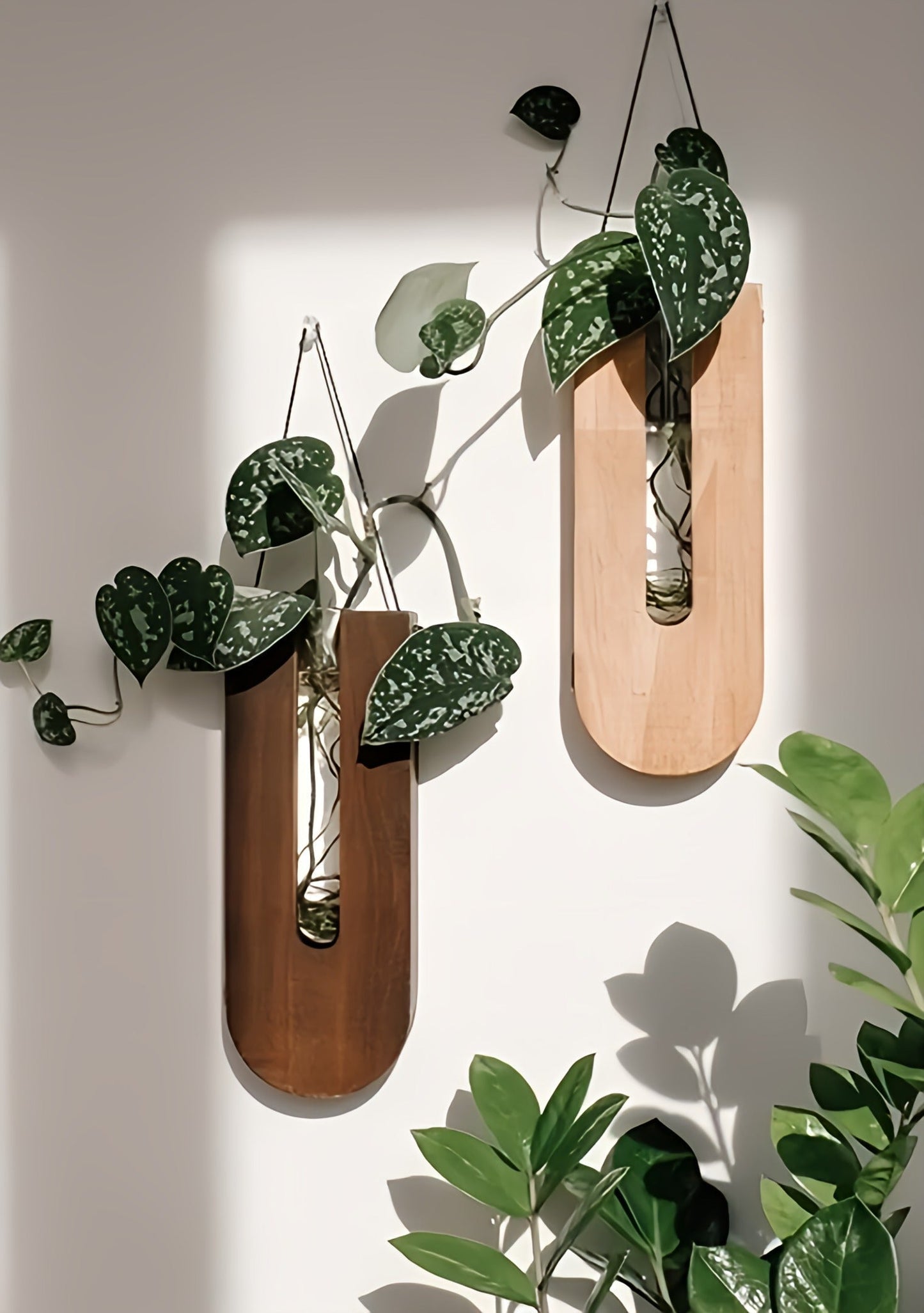 Arbora | 7-teiliges Wandpflanzenhalter-Set mit natürlichem Charme