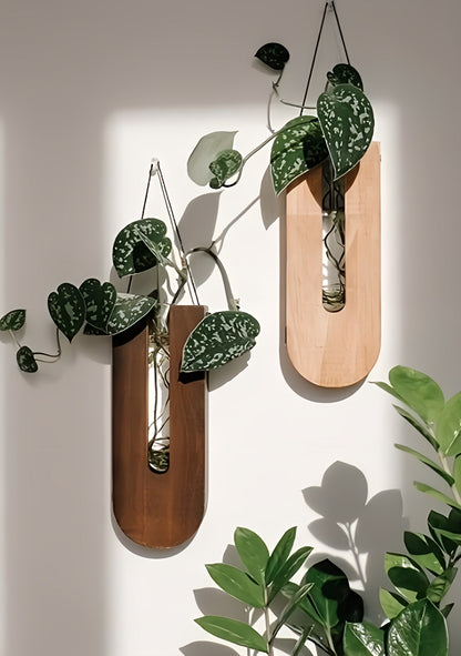 Arbora | 7-teiliges Wandpflanzenhalter-Set mit natürlichem Charme