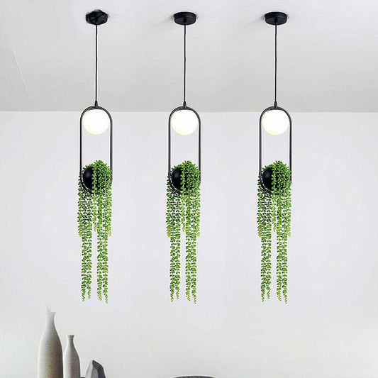 LumenBloom